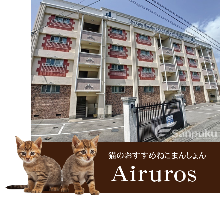 Airuros