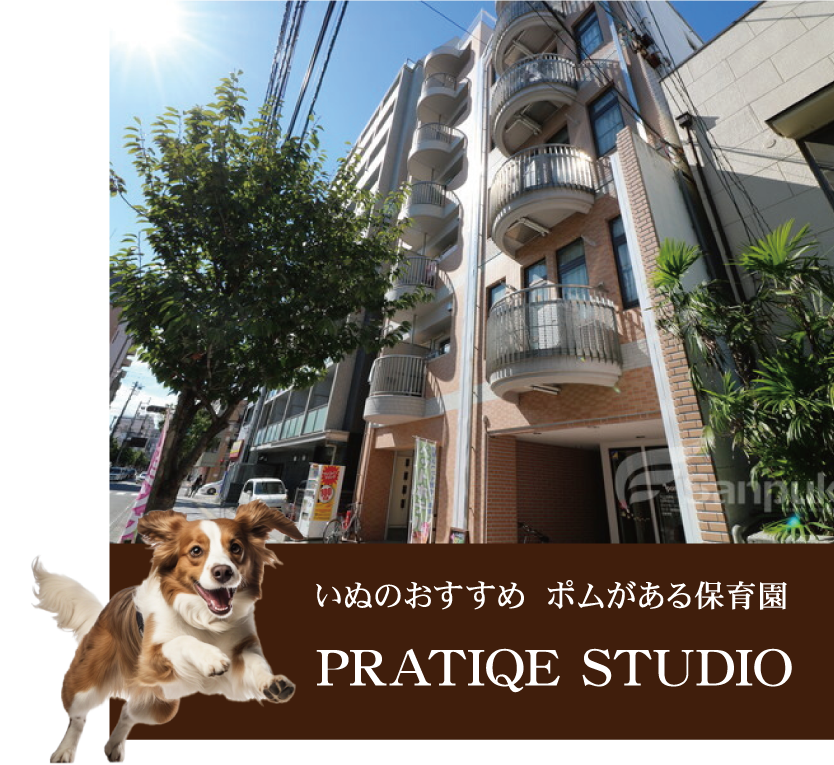 PRATIQE STUDIO