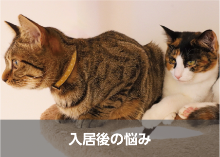入居後の悩み