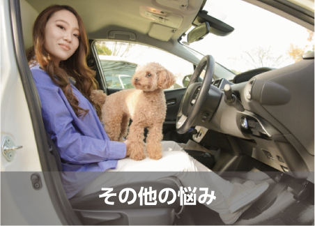 その他の悩み